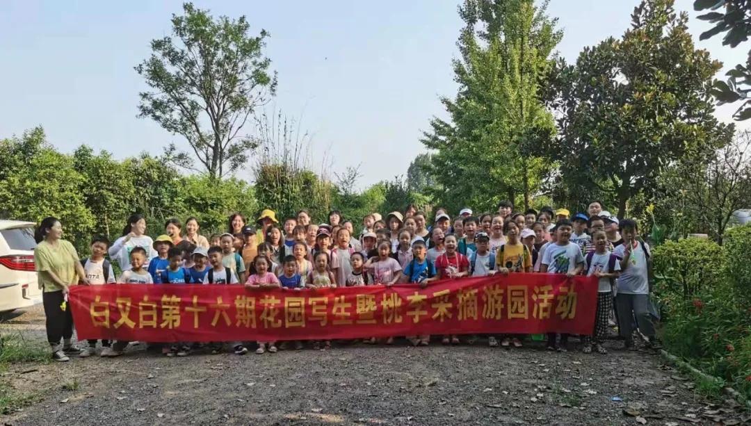 夏日炎炎，桃子甜甜——白又白第16期花园写生暨采摘游园活动圆满举行！