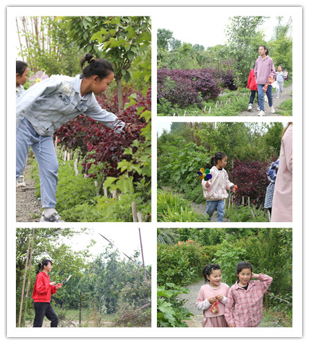 白又白青少儿美术五一花园基地写生活动寻宝.jpg